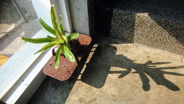 47372375_2162679833763694_7742440791770923008_n