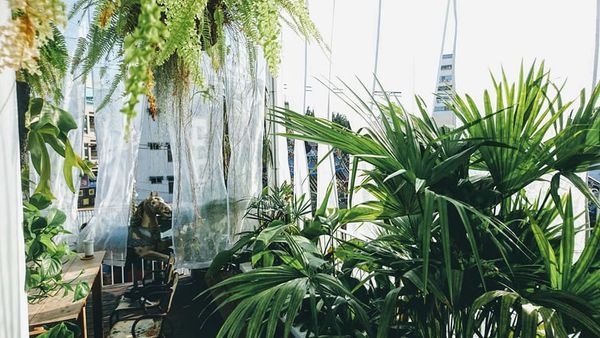 47284411_2162667323764945_5348217083706474496_n