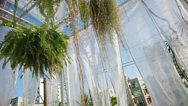 47386207_2162667137098297_5206603022590803968_n