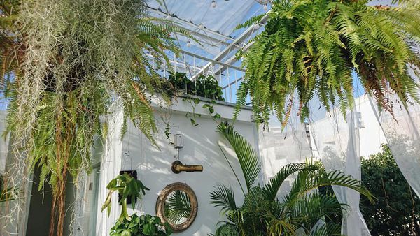 47185820_2162667263764951_268229396354039808_n