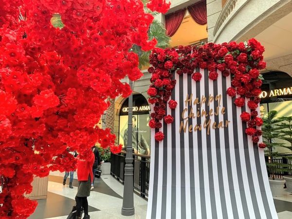 1549363060170 (1).jpg