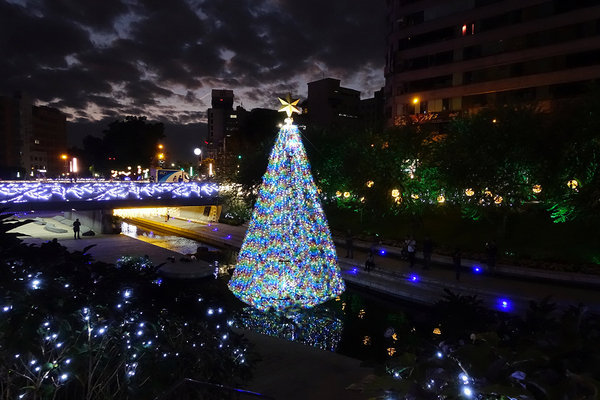 台中柳川水中耶誕樹 (8).jpg 台中柳川水中耶誕樹 (8).jpg