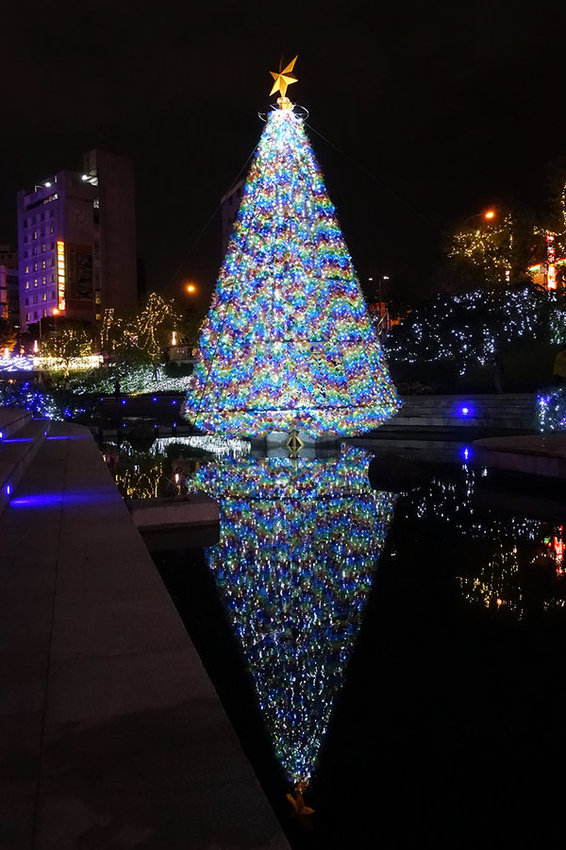 台中柳川水中耶誕樹 (23).jpg 台中柳川水中耶誕樹 (23).jpg