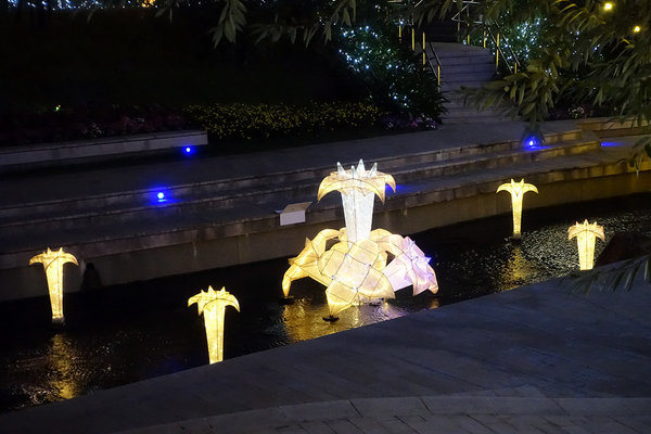 台中柳川水中耶誕樹 (19).jpg 台中柳川水中耶誕樹 (19).jpg