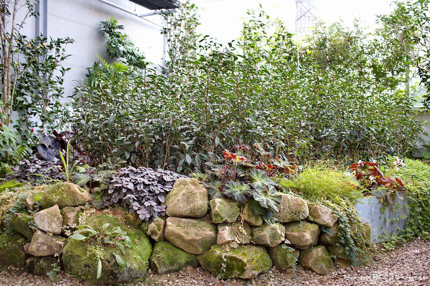 吃茶三千旗艦店-薰的美食之旅