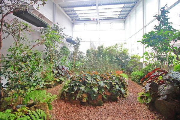 【台中美食】吃茶三千-國內第一座室內茶園,從國外紅到國內的鮮萃茶飲店