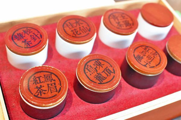 【台中美食】吃茶三千-國內第一座室內茶園,從國外紅到國內的鮮萃茶飲店