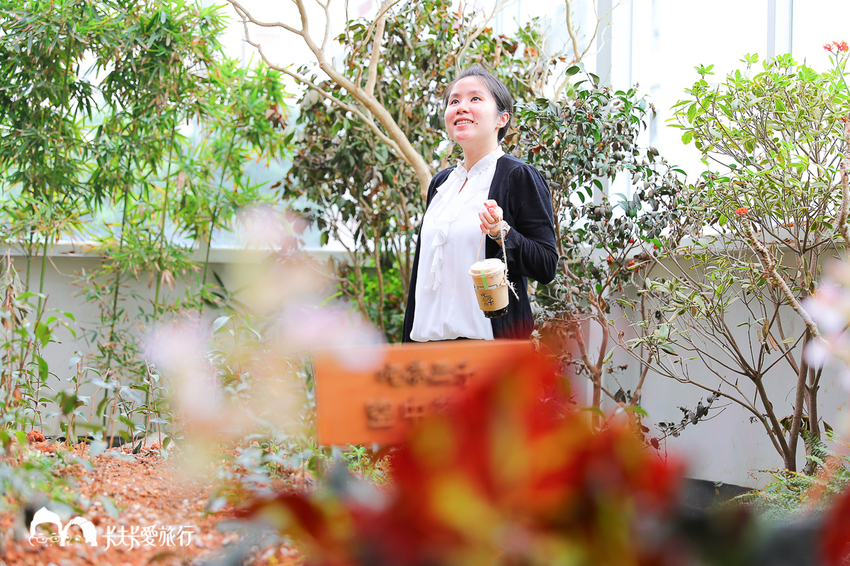 吃茶三千台灣概念店｜搖飲品推薦及烏龍茶葉禮盒伴手禮 - 卡夫卡愛旅行