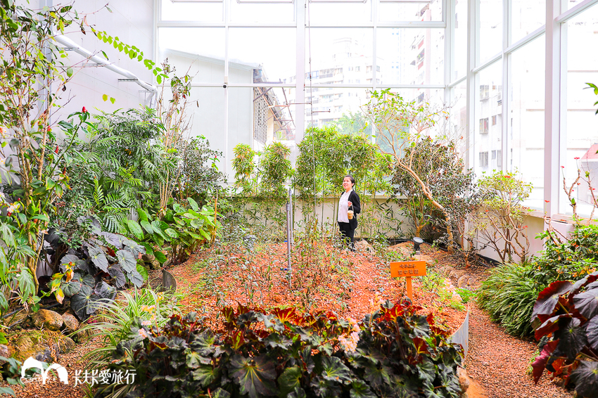吃茶三千台灣概念店｜搖飲品推薦及烏龍茶葉禮盒伴手禮 - 卡夫卡愛旅行