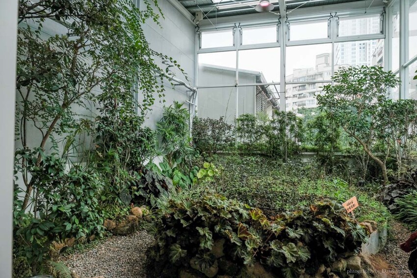 吃茶三千茶包推薦｜台中伴手禮必買精品茗茶，將茶的純粹變日常