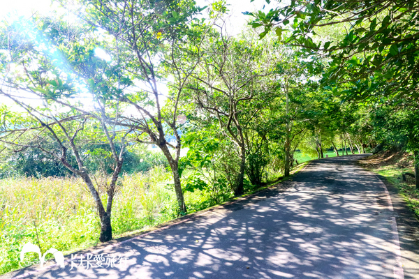 龍潭湖畔悠活園區:【宜蘭景點】礁溪龍潭湖畔純白色貨櫃屋|景觀咖啡店悠活園區 龍潭湖畔悠活園區:【宜蘭景點】礁溪龍潭湖畔純白色貨櫃屋|景觀咖啡店悠活園區