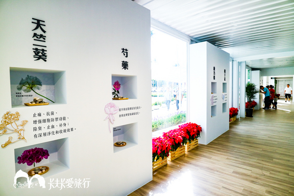 龍潭湖畔悠活園區:【宜蘭景點】礁溪龍潭湖畔純白色貨櫃屋|景觀咖啡店悠活園區 龍潭湖畔悠活園區:【宜蘭景點】礁溪龍潭湖畔純白色貨櫃屋|景觀咖啡店悠活園區