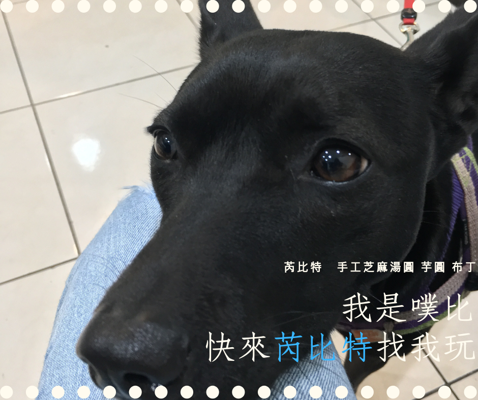 芮比特,新店,木柵,美食,甜點,便宜,人氣,宵夜,外送,免費,IG,寵物友善,芝麻,湯圓,冬至,跨年,薑汁,地瓜,豆花八寶,挫冰,古早味