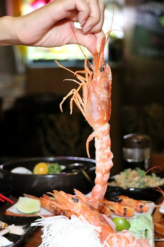 隱身巷弄內的厲害居酒屋.串燒生魚片海鮮都好吃.新北耶誕城周遭美食.板橋居酒屋推薦♥漁網居酒屋♥