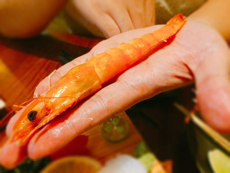 板橋居酒屋,漁網居酒屋,板橋餐酒館,我不是他媽媽,板橋燒肉,新埔站燒肉,板橋生魚片,新埔生魚片,新埔燒肉,板橋小酌,新埔站小酌,米其林,米芝蓮