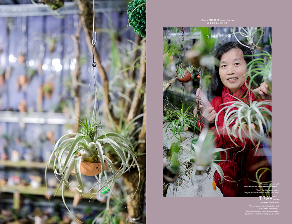 阿里山初日 初日民宿 嘉義阿里山民宿 民宿推薦 阿里山民宿 阿里山住宿 嘉義住宿 Saisai%5Cs Journey18.png