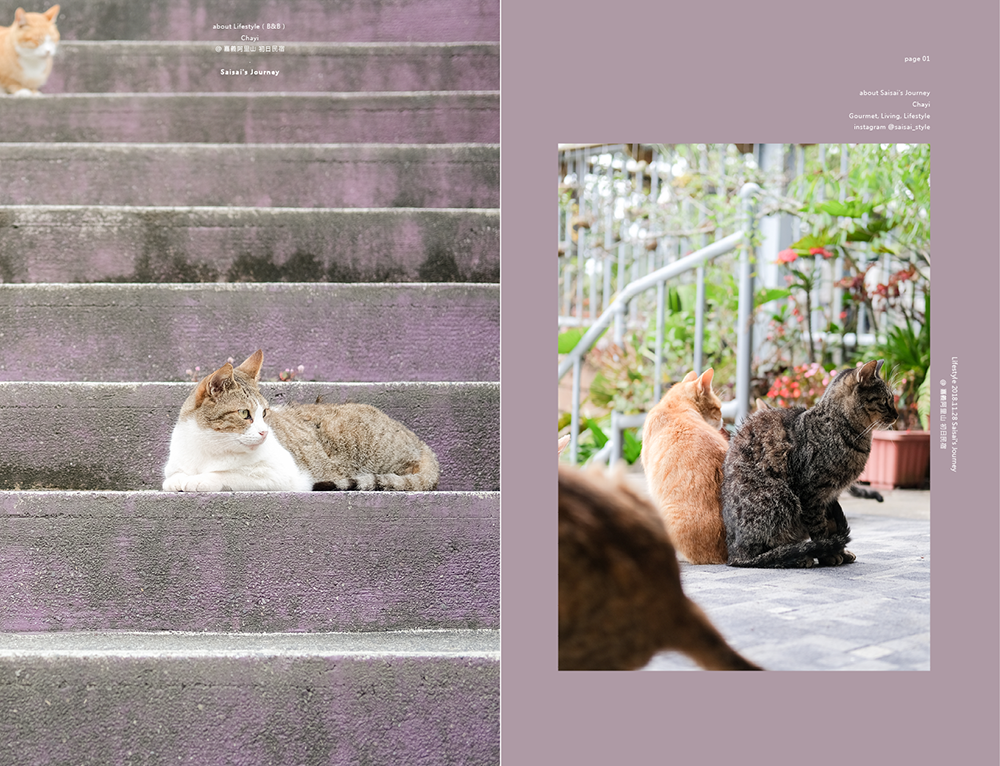 阿里山初日 初日民宿 嘉義阿里山民宿 民宿推薦 阿里山民宿 阿里山住宿 嘉義住宿 Saisai%5Cs Journey04.png