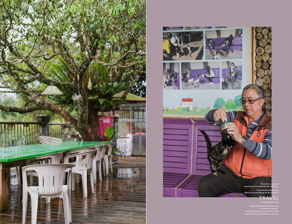 阿里山初日 初日民宿 嘉義阿里山民宿 民宿推薦 阿里山民宿 阿里山住宿 嘉義住宿 Saisai%5Cs Journey24.png