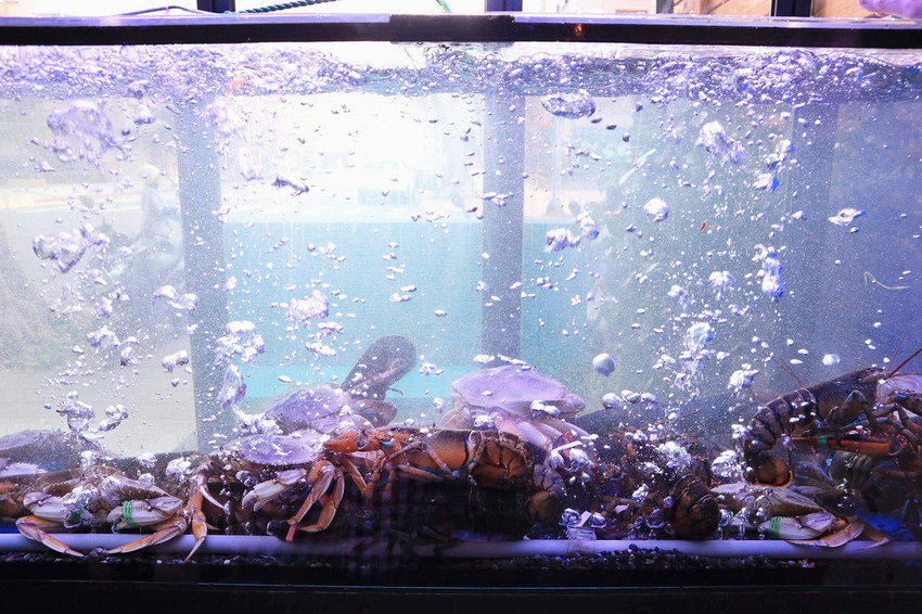 SMILE TABLE微笑餐桌