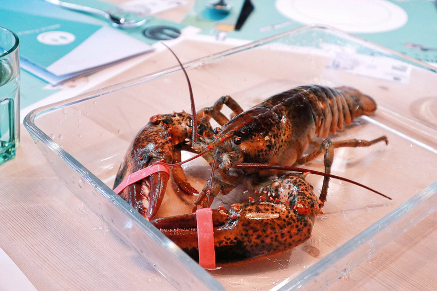 SMILE TABLE微笑餐桌