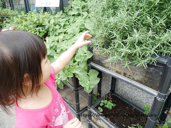 【彰化美食】新農匯神農物流市集 新鮮現採蔬菜 #健康鍋物 #神農鍋物 #藥膳鍋 #小農農產 #彰化火鍋 #彰化景點 (10).JPG