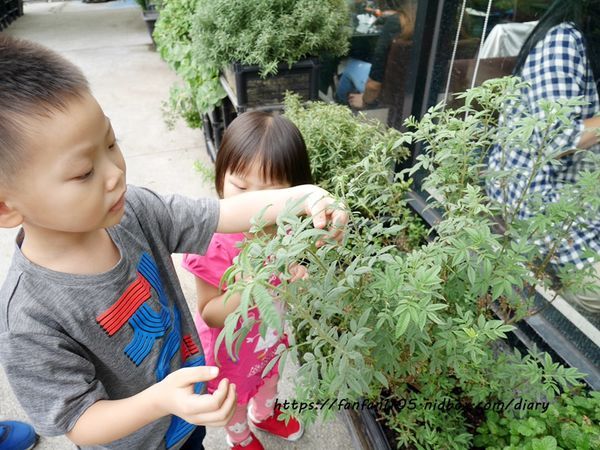 【彰化美食】新農匯神農物流市集 新鮮現採蔬菜 #健康鍋物 #神農鍋物 #藥膳鍋 #小農農產 #彰化火鍋 #彰化景點 (11).JPG