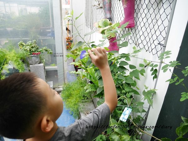 【彰化美食】新農匯神農物流市集 新鮮現採蔬菜 #健康鍋物 #神農鍋物 #藥膳鍋 #小農農產 #彰化火鍋 #彰化景點 (12).JPG