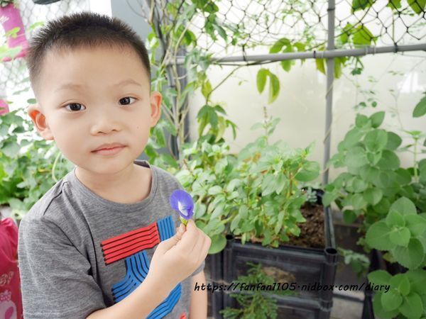 【彰化美食】新農匯神農物流市集 新鮮現採蔬菜 #健康鍋物 #神農鍋物 #藥膳鍋 #小農農產 #彰化火鍋 #彰化景點 (13).JPG