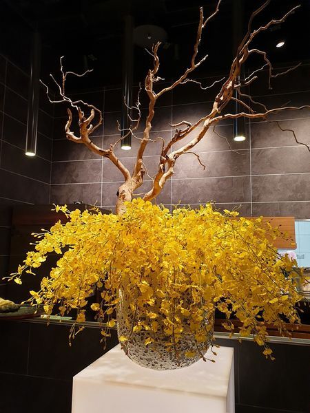 20190315_190316_0056