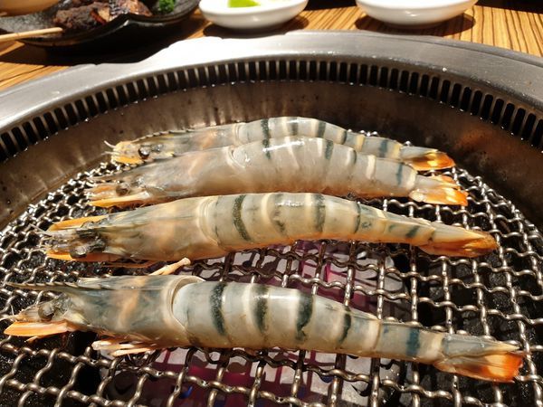 20190315_190316_0044