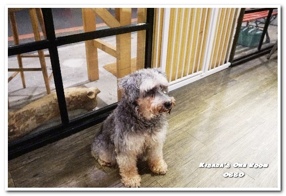 OSSO美式餐廳：新店美食／愛評體驗券．和狗狗一同度過美味的悠閒時光──OSSO美式餐廳