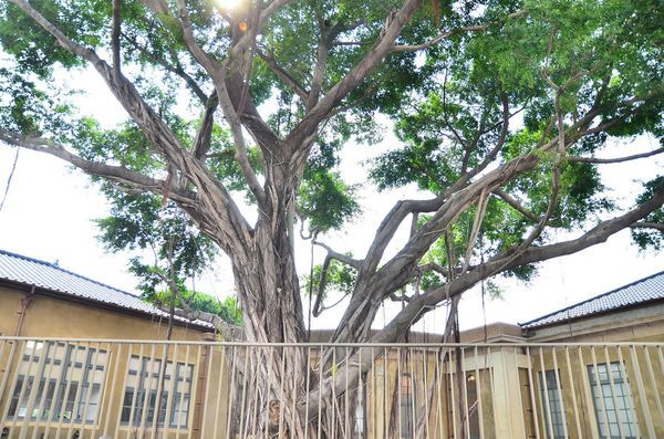 DSC_6396.jpg DSC_6396.jpg