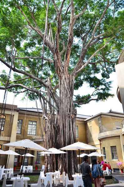 DSC_6517.jpg DSC_6517.jpg