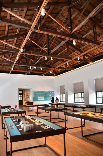 DSC_6421.jpg DSC_6421.jpg