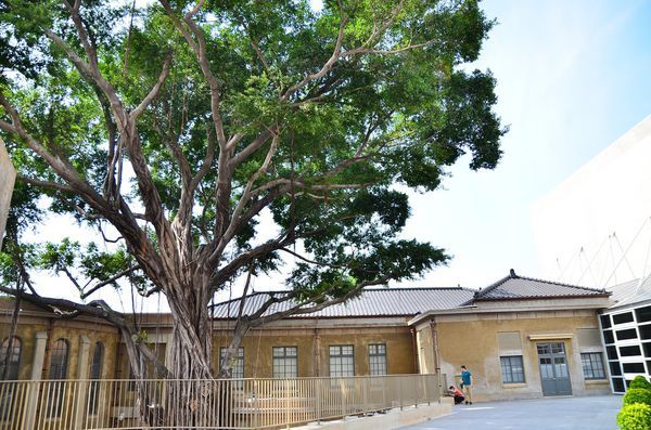 DSC_6400.jpg DSC_6400.jpg