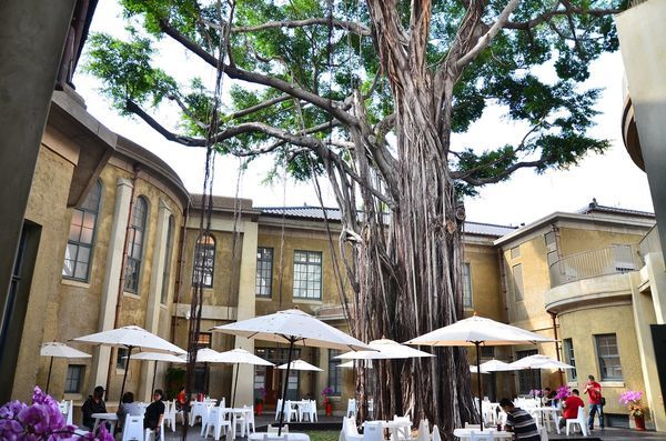 DSC_6519.jpg DSC_6519.jpg