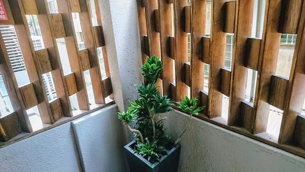 47503502_2167473483284329_6016668012491309056_n