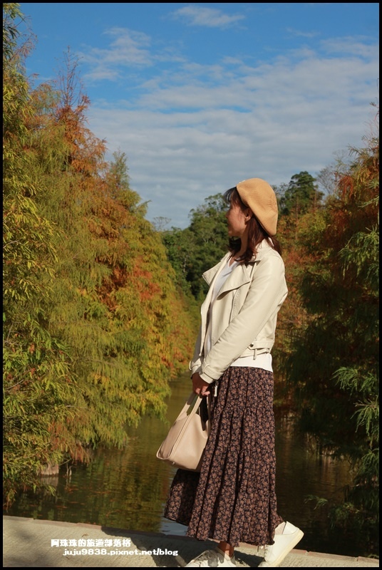 三灣落羽松4.JPG 三灣落羽松4.JPG