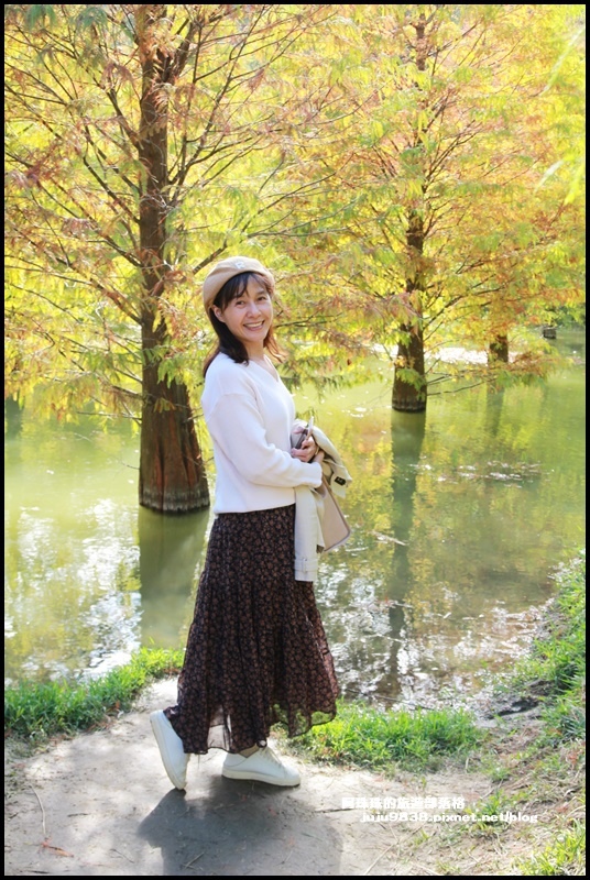 三灣落羽松9.JPG 三灣落羽松9.JPG