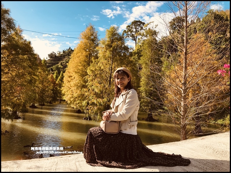 三灣落羽松22.JPG 三灣落羽松22.JPG