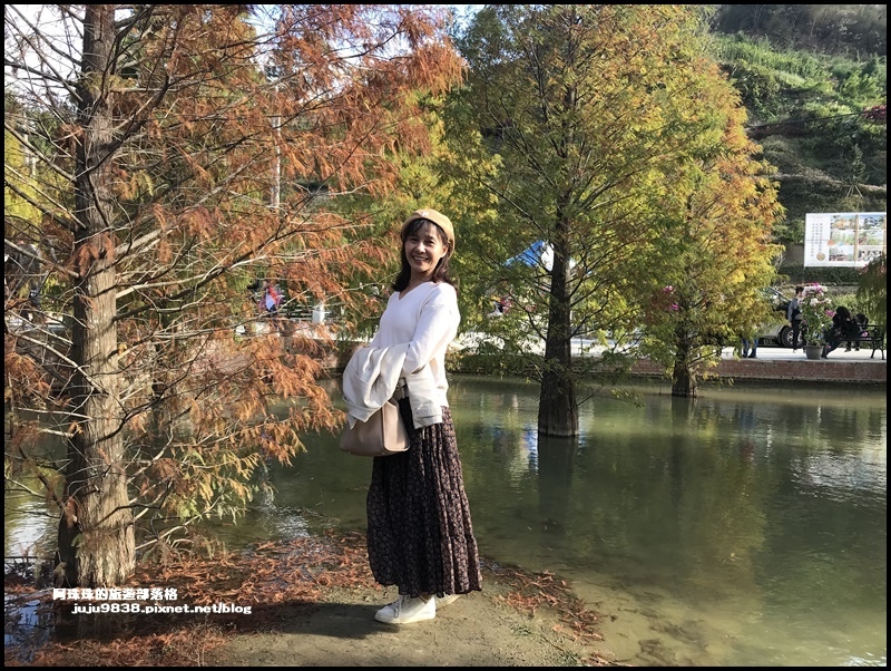 三灣落羽松29.JPG 三灣落羽松29.JPG