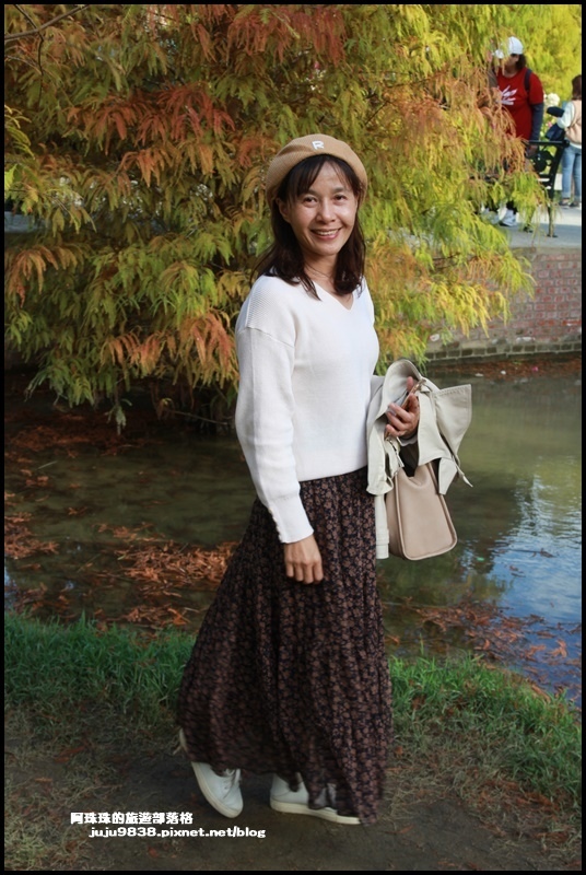 三灣落羽松6.JPG 三灣落羽松6.JPG