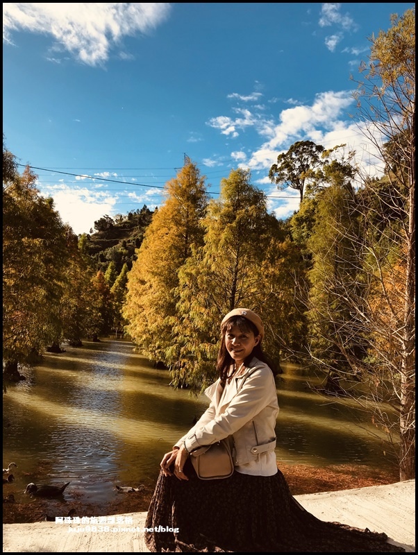 三灣落羽松21.JPG 三灣落羽松21.JPG