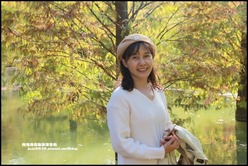 三灣落羽松10.JPG 三灣落羽松10.JPG