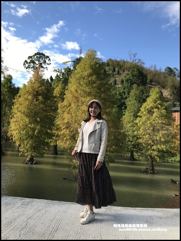 三灣落羽松31.JPG 三灣落羽松31.JPG