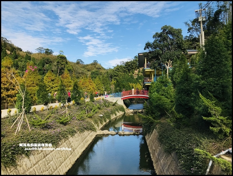 三灣落羽松27.JPG 三灣落羽松27.JPG