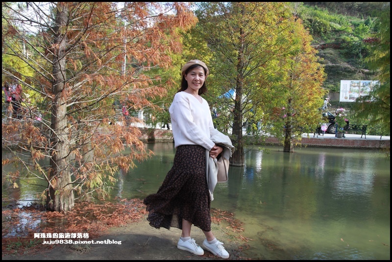 三灣落羽松7.JPG 三灣落羽松7.JPG