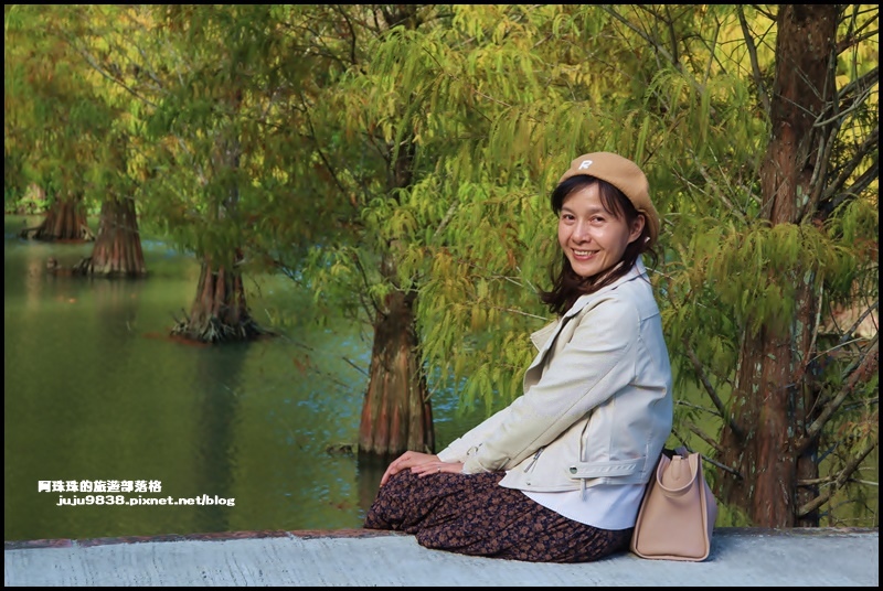 三灣落羽松15.JPG 三灣落羽松15.JPG