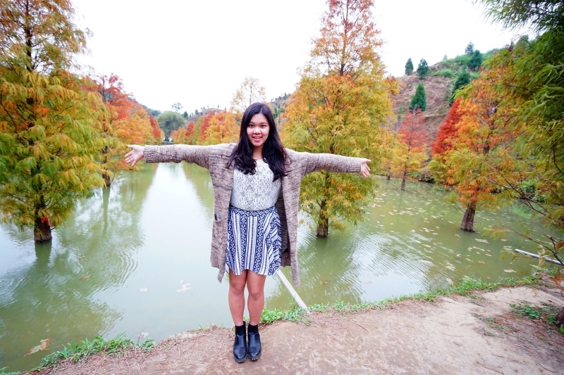 跳躍的宅男 -   苗栗三灣落羽松 快跟閨蜜來拍甜蜜照 20181214落羽松現況直播 秘境IG熱門打卡點  浪漫台三線景點