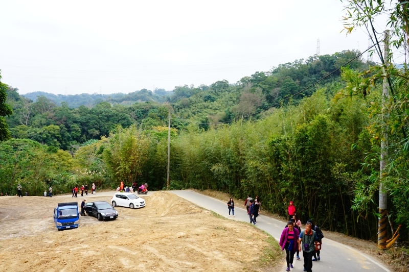 跳躍的宅男 -   苗栗三灣落羽松 快跟閨蜜來拍甜蜜照 20181214落羽松現況直播 秘境IG熱門打卡點  浪漫台三線景點